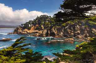Point Lobos-3409.jpg Point Lobos-3409.jpg